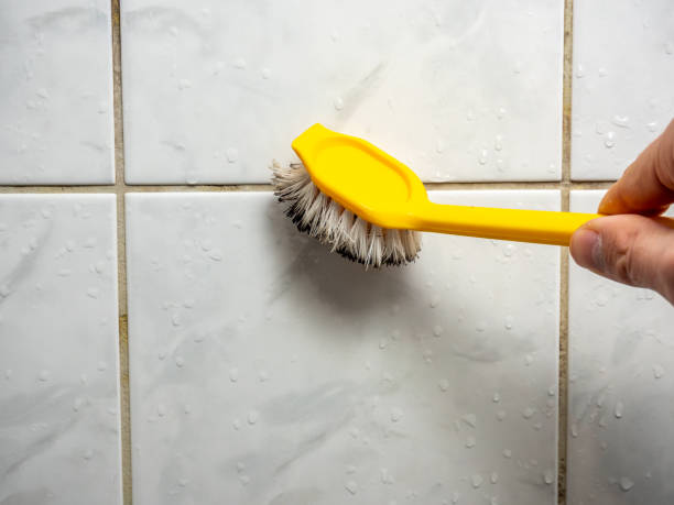 Best Mold Remediation  in Prospect Rk, PA