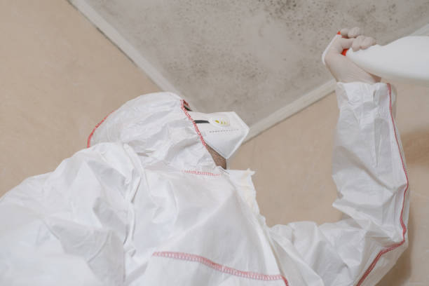 Best Residential Mold Removal  in Prospect Rk, PA